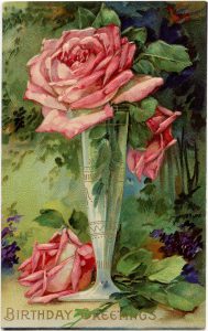 pink rose greeting 1