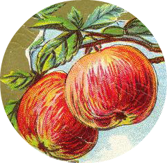 Free vintage apple illustration