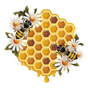 bees and honey 11