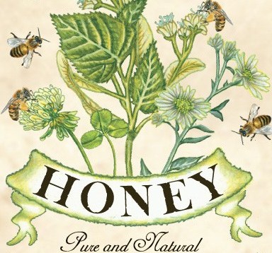 bees and honey 6