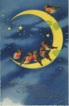 free vintage illustration moon stars birds