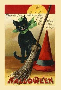 public domain vintage halloween postcard black cat 1
