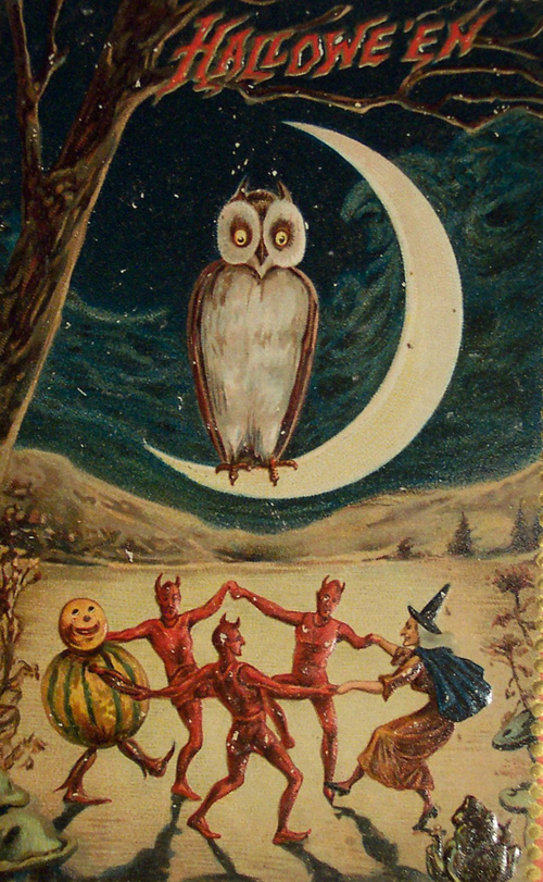 public domain vintage owl image 6