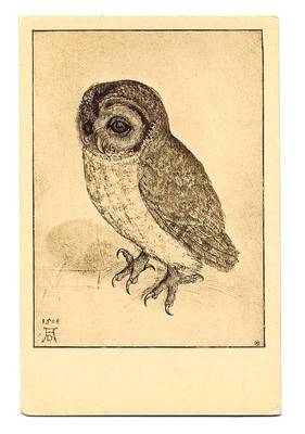 public domain vintage owl image 8