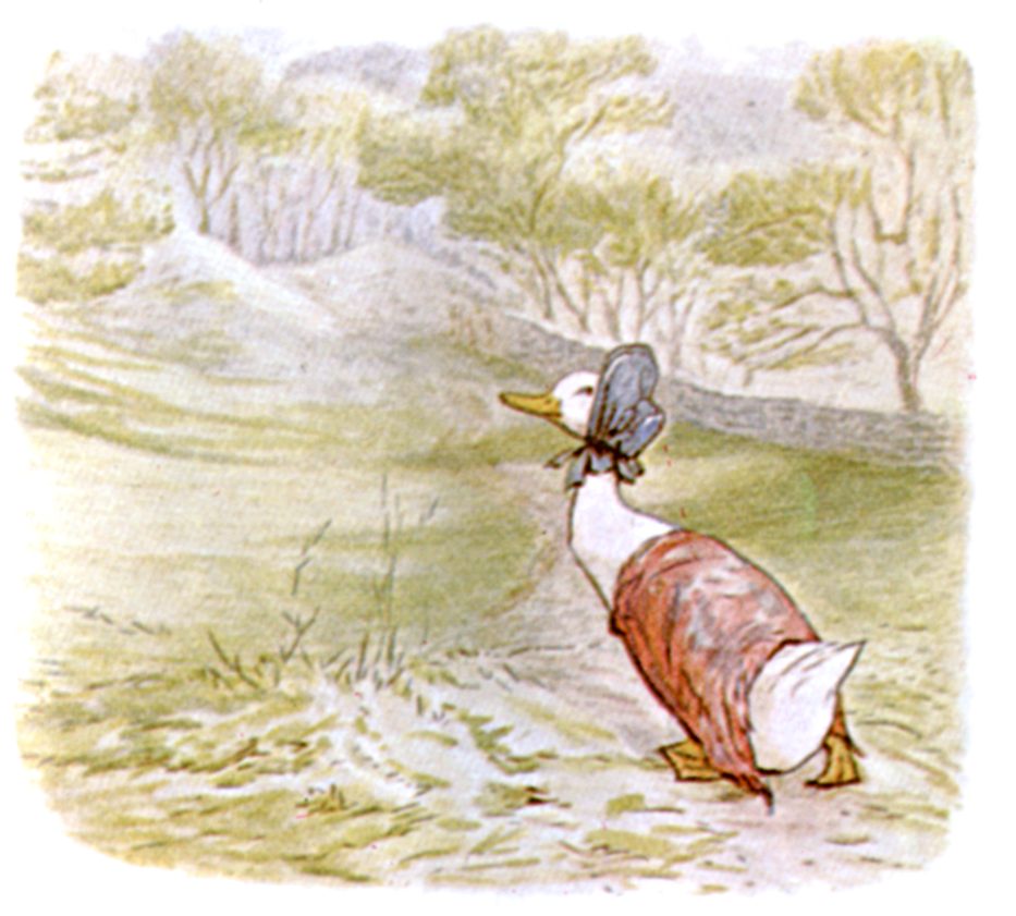 Public domain vintage children's book illustration from Beatrix Potter paddleduck