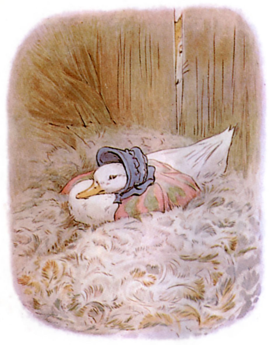 Public Domain vintage children's book illustration of a mother duck from Beatrix Potter