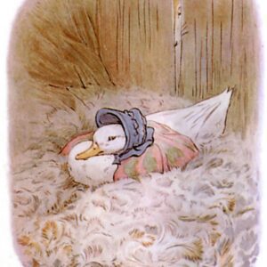 free public domain vintage illustration of ducks beatrix potter jemima puddleduck 3