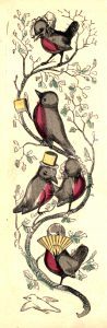 public domain robin illustrations vintage childrens books