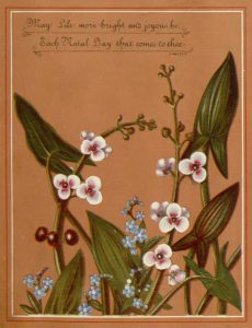 public domain vintage birthday card botanical 1