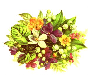public domain vintage clipart floral bouquet with leaves