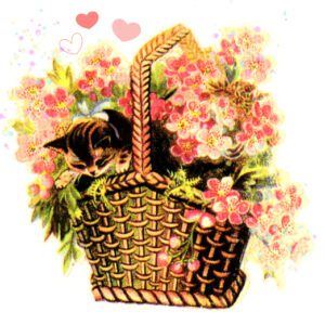 public domain vintage clipart kitten in basket of flowers