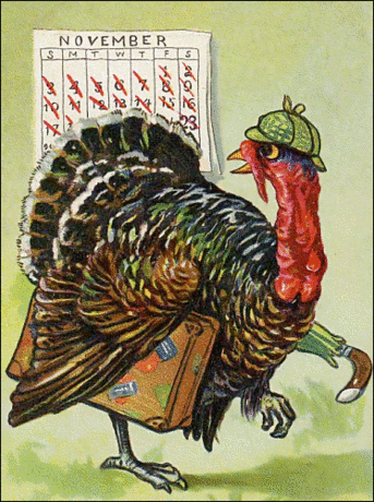 public domain colo vintage thanksgiving turkey image