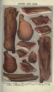 public domain vintage color illustrations of food and sliced butcher meat