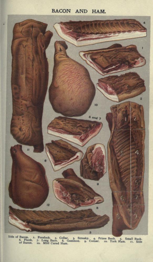 A free public domain vintage illustration of sliced butcher meat