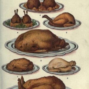 public domain vintage color illustrations of food meat turkey and poultry