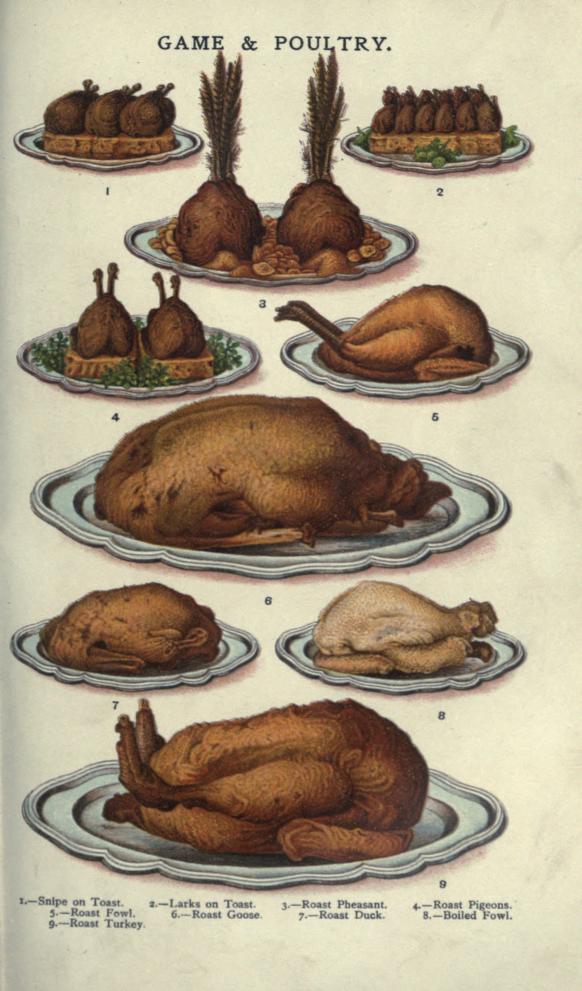 A free public domain vintage illustration of poultry and turkey roast food