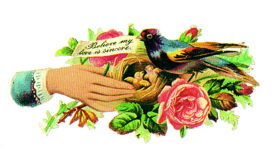free vintage illustration of birds nest for valentines day
