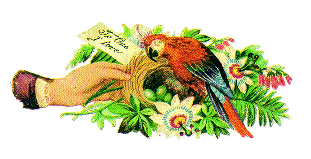 free vintage illustration of parrot birds nest and wildflowers