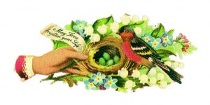 free vintage illustration of wild birds nest and green eggs