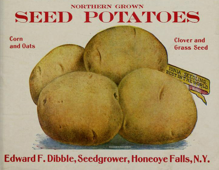 This is a free vintage illustration of an antique potato seed catalog cover
