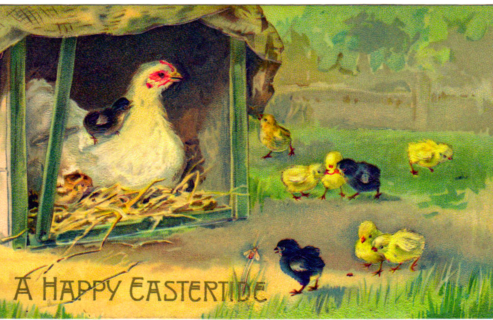 This is a Free Vintage Illustration of an Easter Chicken and Chicks from an Antique Easter Postcard
