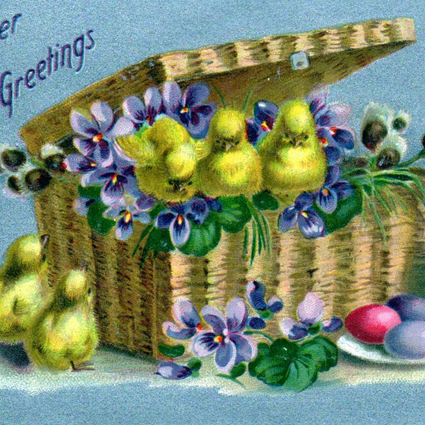 free vintage easter illustration of easter basket eggs and chicks postcard