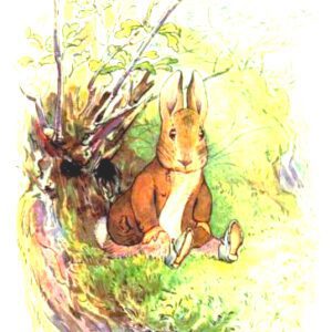 free vintage illustration of beatrix potter benjamin bunny 2