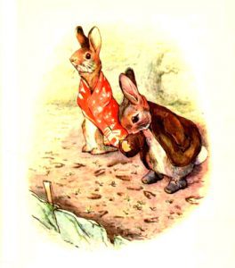 free vintage illustration of beatrix potter benjamin bunny 7