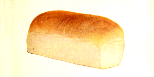 vintage bread illustration from retro cookbook