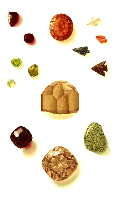 19th Century Illustration of Gems and Precious Stones
