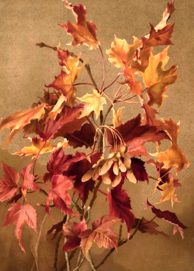 19th Century Fall Illustration of Autumn Leaves