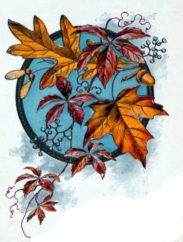 Fall illustration of Autumn Leaves from Menu