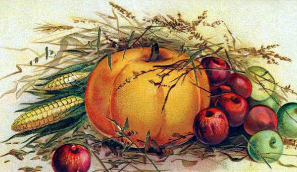 vintage pumpkin illustration public domain