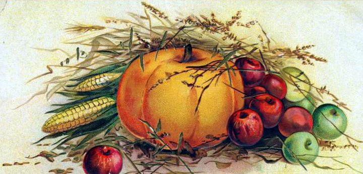 Vintage pumpkin illustration from a 19th century postcard in the public domain