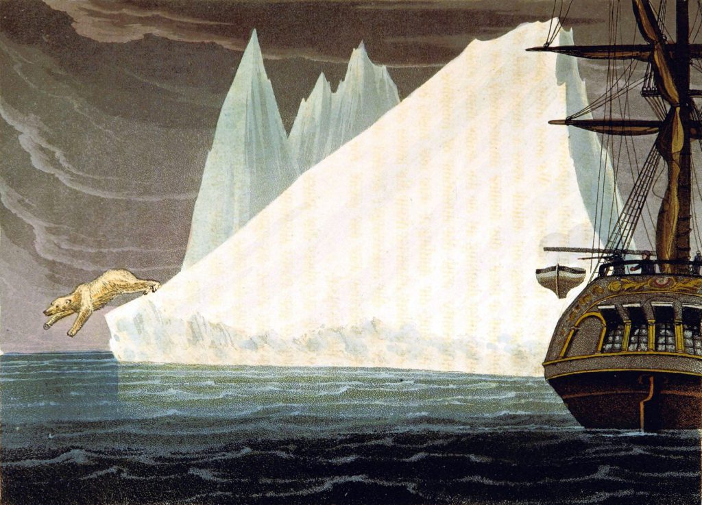 Public domain iceberg illustrations with polar bear. 19th century! Free to use.