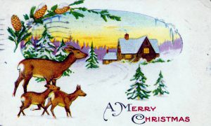 public domain vintage christmas cards with xmas deer