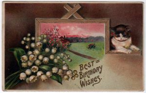 vintage birthday cards with kitten - free to use