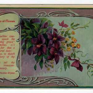19th 20th century valentines day pictures purple flowers