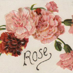 19th 20th century valentines day pictures rose card