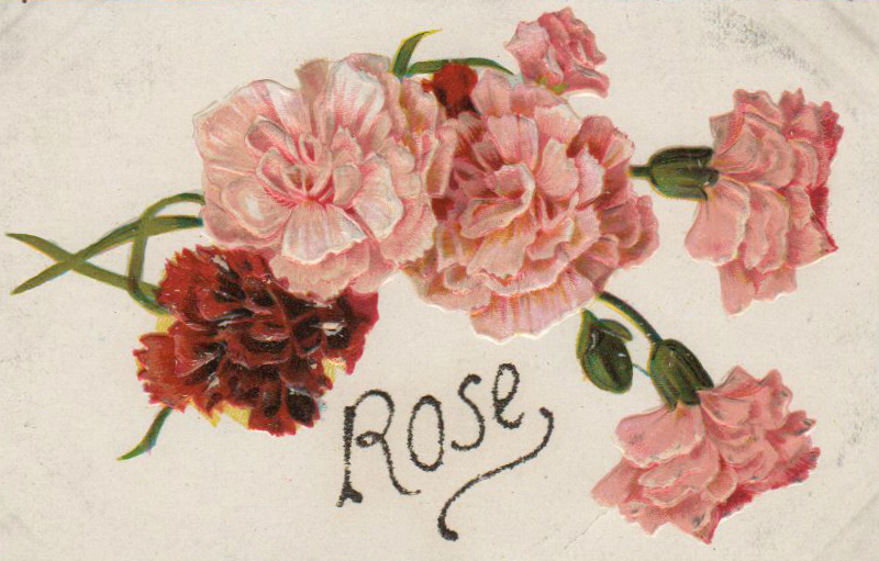 Free Valentine's Day pictures of roses - 19th 20th century