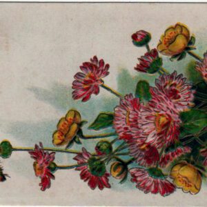 19th 20th century valentines day pictures wildflowers card