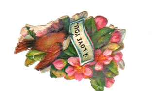 Free Valentine's Day pictures -19th century die cut scrap of a bird with love note