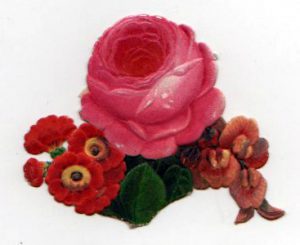 Free Valentine's Day pictures - 19th century rose die cut illustration