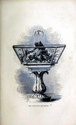 antique aquarium illustrations 19th century