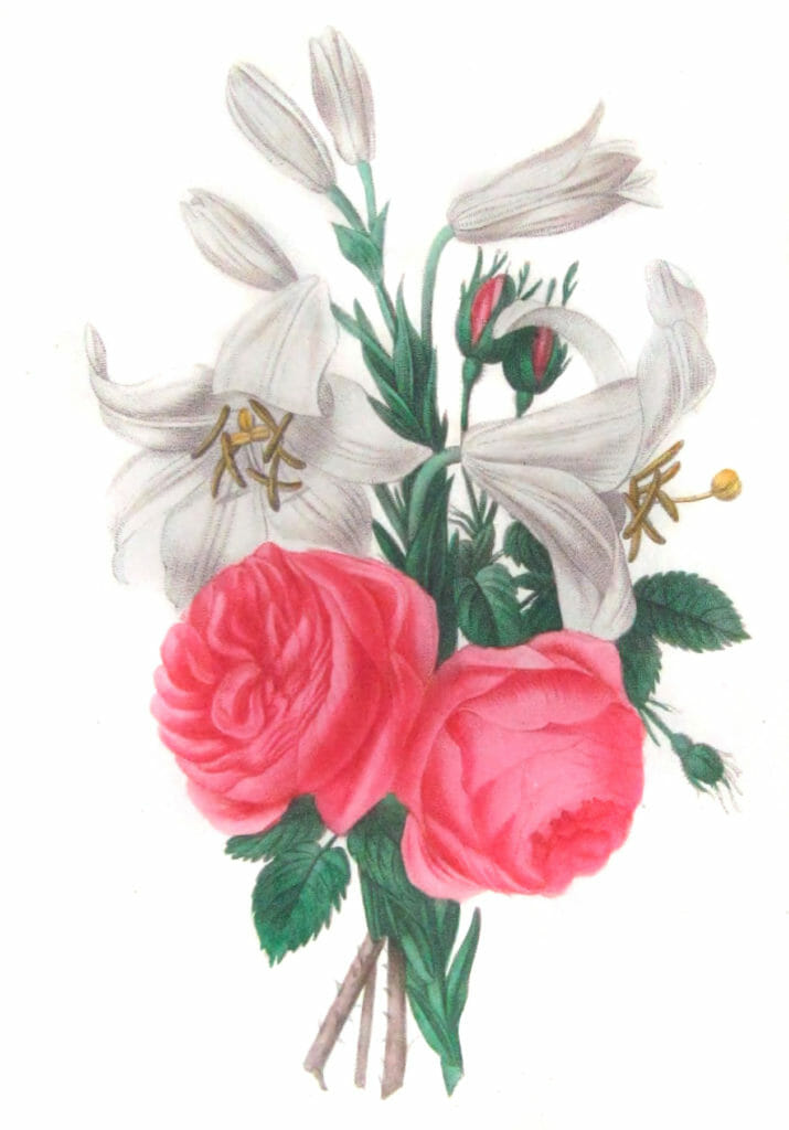 copyright free illustrations of french bouquets