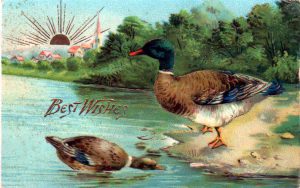 Copyright-free illustrations of ducks by a lake