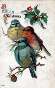 A free Christmas illustration of three colorful birds from an early 20th-century vintage greeting card.