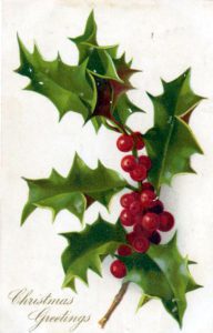 A free Christmas illustration of classic Holly and berries. From a public domain holiday card published in 1906.