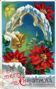 Free Christmas illustration of poinsettia plants, dated approximately to the late 19th century to early 20th century.