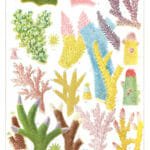public domain coral illustrations great barrier reef